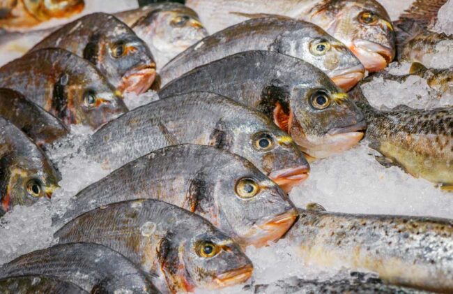 pescaderías Asturias – NB Radio Digital pescaderías Asturias