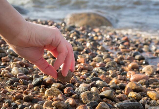 Aficiones raras que construyen identidad social