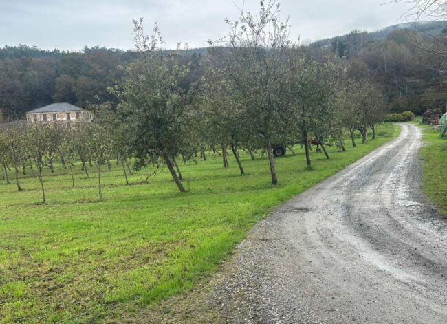 Adjudican las obras de acceso al camping Amaido