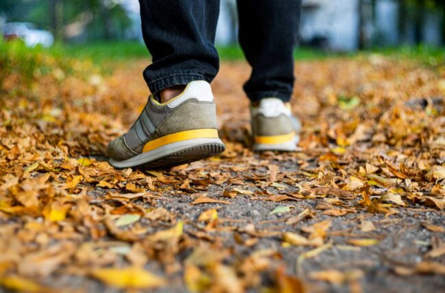 Las zapatillas en otoño – NB Radio Digital Las zapatillas en otoño